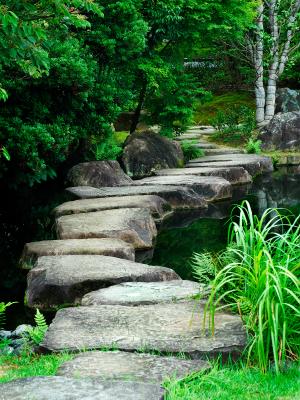 stepping stone stig i vatten